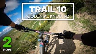 FLOWY FAMILY FUN - Trail 10 Mountain Bike...