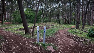 WRC - The Pines, Margaret River