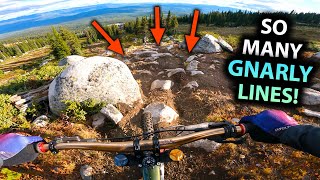 This DH Trail Almost DESTROYED ME!!... But I...