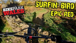 Surfin' Bird Full Run - Bike Park Wales