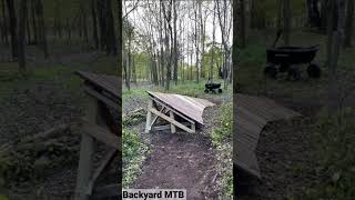 Wild Backyard MTB Build 
