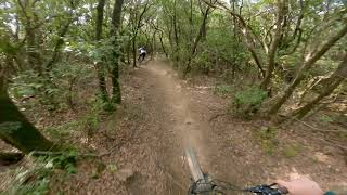 Pesta - Parco dei Canyon | Massa Marittima