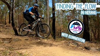 Finding the Flow with Flowmentum