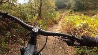 Lovely Legs / Thai Bride trail, Surrey Hills...