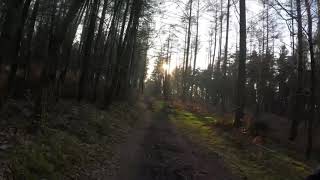 RustBusters / RustBuster, Surrey Hills MTB,...