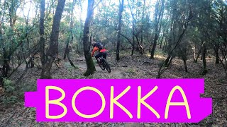 MTB Roveta 06.11.2021 sentiero BOKKA