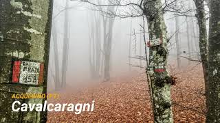 Cavalcaragni, Acquerino (PT) 06-11-2021