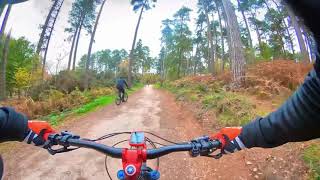 MTB - Mornings in the forest 