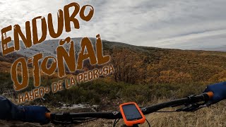‍♂️   Hayedo de la Pedrosa  | Riaza...