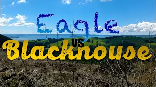 Eagle vs Blackhouse - Getting the best view in...