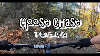Goose Chase | Mountain Bike Tokul East, WA