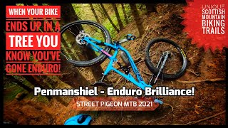 Penmanshiel | Crashing hard on sublime MTB trails!