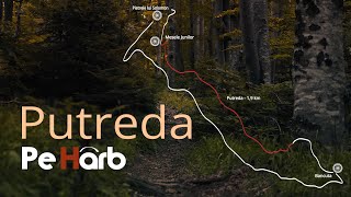 Putreda