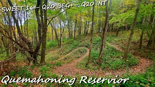 Golden Corridors | Quemahoning Reservoir |...