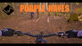 The Gorge - Purple Hayes