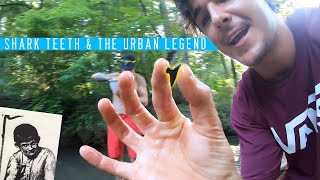 We Found Shark Teeth and The Urban Legend