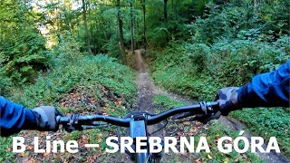 B Line - Srebrna góra - 2021