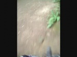 Must Watch Video