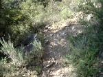 Curvita de 180º