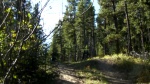 Papa Bear Gap