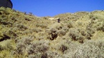 Gully Jump 2