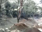 Must Watch Video