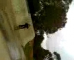 Must Watch Video