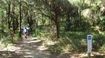 2009 FSC #3 Yellow Wave Starts @ Alafia River...