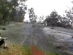 Goat Farm 4 X Race