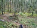 odie road gap