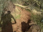 B trail run