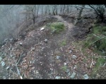 Le bergout