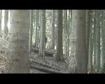 Bretzel easy and short track