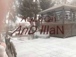 Must Watch Video