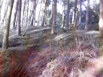Delamere