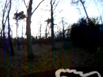 helmet cam vid the next day