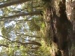 Must Watch Video