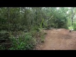 Must Watch Video