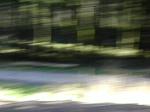 Must Watch Video