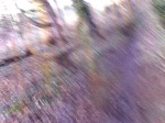 Headcam test at Cramond