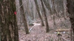 Freeride aux Evaux