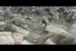 Must Watch Video