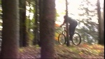 Freeride Dirt Specialized sx Trail II