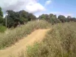 Must Watch Video