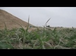 Must Watch Video