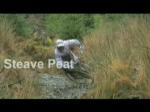 Must Watch Video