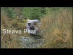 Must Watch Video