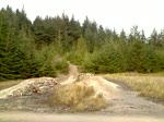 Double at Gisburn Forest