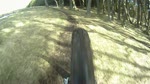 Nice wee run in with a tree!