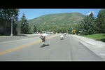 Skate sessions 2009